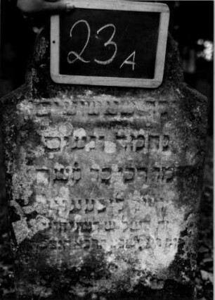 Grabstein 23 (Index: 100111050) Material: Sandstein Zustand: verwittert mit Textverlust Maße HxBxT: 84x48x12 cm Beschreibung: Stele, schräg eingezogener Rundbogenabschluß Besonderheit: Kindergrab: Grabstein 23A