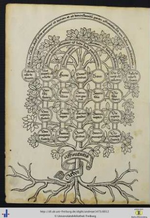 Arbor affinitatis.