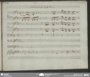 Cavatina: "Pietoso amore dona al mio core"
