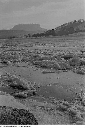 Blick über die Elbe zum Königstein von Prossen aus