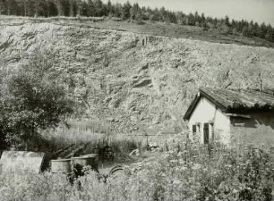 Geisingberg, Basaltbruch. Steinbruch, frontale Ansicht mit Verwitterungsschicht