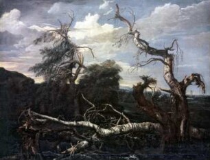 Landschaft nach einem Gewitter