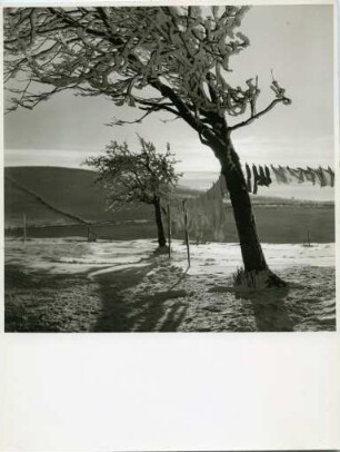 Winter am Schauinsland