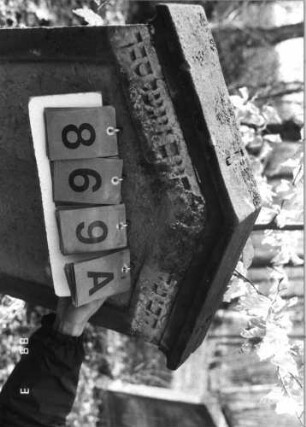 Grabstein 869 (Index: 99751220) Material: Sandstein Zustand: abgeblätt/verwitt/fast völl. Textverlust Maße HxBxT: 117x55x9 cm Beschreibung: Stele, giebelartiger Abschluß mit Verdachung, Schriftfeld eingetieft: Grabstein 869A