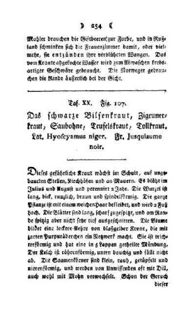 ¬Das¬ schwarze Bilsenkraut : Taf. XX, Fig. 107