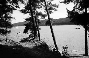 Parkanlage beim Campingplatz mit Bäumen im Vordergrund am Schluchsee