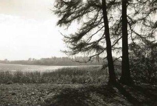 Moritzburg. Landschaftsaufnahme mit Teich (Großteich)