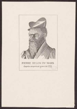 Belon, Pierre