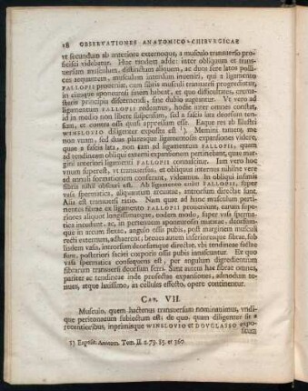 Cap. VII.