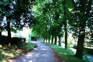 Weg, Großbaumreihe, Wipfra