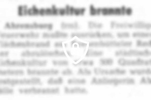 Eichenkultur brannte