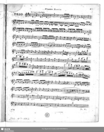 Flauto secondo