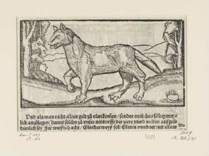 Wolf, aus: "OFFICIA M.T.C. EJn Bůch So Marcus Tullius Cicero der Römer zu seynem Sun Marco von den Tugentsamen Ämptern [...]", Augsburg 1545