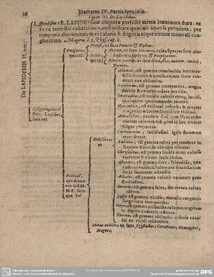 Caput IV. De Lapidibus.