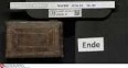 Stammbuch des Gottfried Crusius (Cruse) aus Stendal