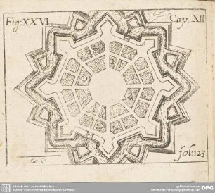 Fig: XXVI Cap: XII fol: 123