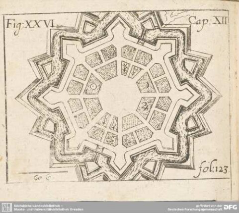 Fig: XXVI Cap: XII fol: 123