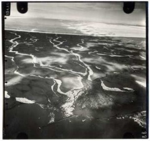 Nordland : Nordinsel (79-80° N)