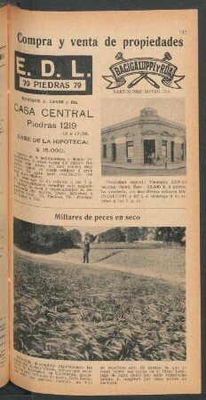 Millares de peces en seco - [Fotografía]