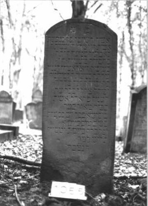 Grabstein 1055 (Index: 99899676) Material: Sandstein Zustand: unten verwittert, sonst gut erhalten Maße HxBxT: 128x53x9 cm Beschreibung: Stele mit Segmentbogenabschluss: Grabstein 1055