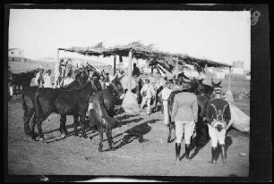 Nador (Marokko): Offiziere, Soldaten [des spanischen 8. Kavallerie-Regiments "Lusitania"] und "unsere Mulis" an einer mit Stroh überdachten Wasserstelle