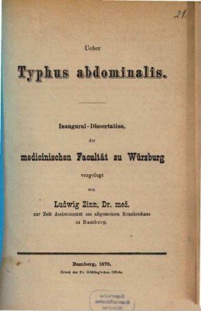 Ueber Typhusabdominalis : Inaugural-Dissertation