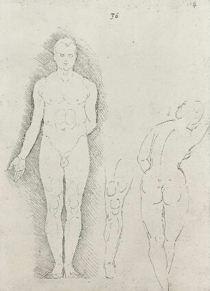 Mann von vorn vor schraffiertem Grund und Frau von hinten : Dresdner Skizzenbuch (1507/1528). Mann von vorn vor schraffiertem Grund und Frau von hinten (aus: R. Bruck: Das Skizzenbuch von Albrecht Dürer, Straßburg 1905, Tafel 67, Blatt 134r, Str. 42, Kriegsverlust). Dresden: SLUB Mscr.Dresd.R.147.f