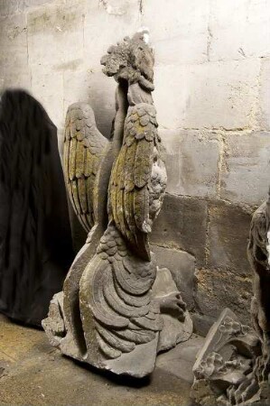 Adler