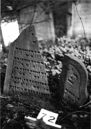 Grabstein 72 (Index: 99804187) Material: Sandstein Zustand: gebroch/Textverlust Maße HxBxT: 54x59x8 cm Beschreibung: Stele mit Rundbogen, profiliertem Rand: Grabstein 72