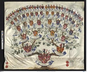 Racknitz, Gallas Maximilian Freiherr von