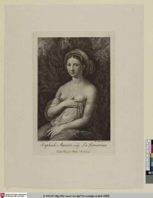 Raphaelis Amasia, vulgo La Fornarina