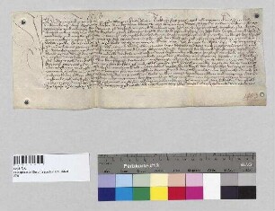 Siegmund von Laiming zu Tegernbach vollzieht die Stiftung seines verstorbenen Bruders Hans, bestehend aus einer jährlichen Spende zu Wasentegernbach und einer jährlichen Zahlung an den Mesner der Johanneskirche, welchen Zins Siegmund von Laiming von Ulrich Vockinger zu Eppenhöning gekauft hat.; S: Siegmund von Laiming zu Tegernbach