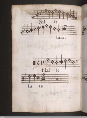 [Heinrich Isaac] : Alleluja. Caro mea
