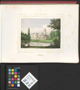 Wagenitz