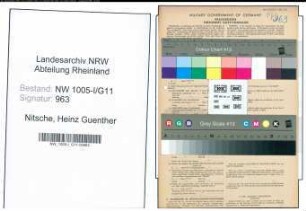 Entnazifizierung Heinz Guenther Nitsche , geb. 30.06.1921 (Student)