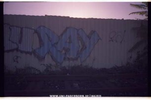 RAY