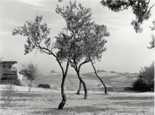 Landschaft in Sizilien
