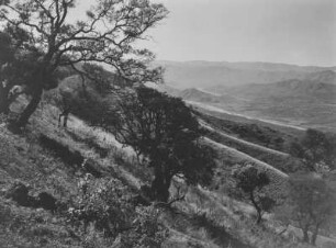 Hügelige Landschaft : Spärlich bewachsene Hügel im südafrikanischen Tafelland