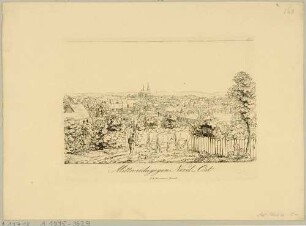Stadtansicht von Mittweida in Mittelsachsen, Blick von Nordosten, mit Kühen im Vordergrund