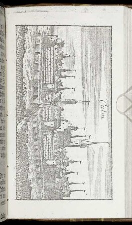 Culm [Kupffer]