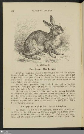 18. Abschnitt. Vom Hasen. Du lièvre