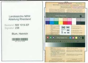Entnazifizierung Heinrich Blum , geb. 08.01.1911 (Konstrukteur)