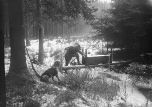 Jäger mit Hund an einer Tierfalle im Wald : Falle im Wildwechsel