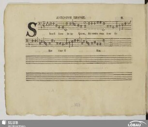 II. Brumel, Antoine: Sicut lilium inter spinas