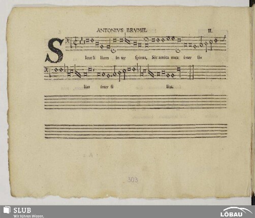 II. Brumel, Antoine: Sicut lilium inter spinas