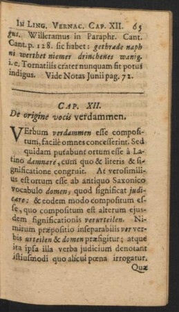 Cap. XII. De origine vocis verdammen.