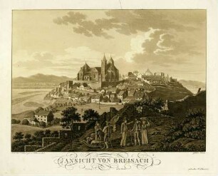 Ansicht von Breisach