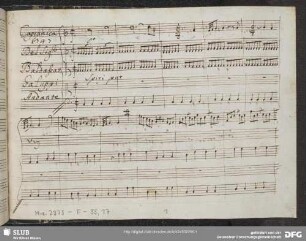 Evergete. Excerpts - Mus.2973-F-35,17 : S, strings, bc