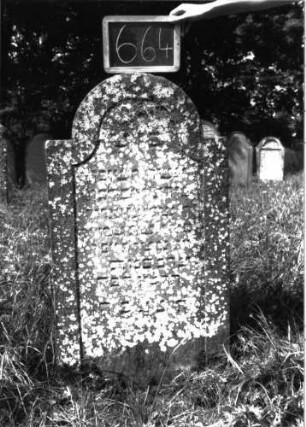 Grabstein 664 (Index: 100104918) Material: Sandstein Zustand: stark bewachsen, gut erhalten Maße HxBxT: 115x61x9 cm Beschreibung: Stele, eingezogener Rundbogenabschluss, Schriftfeld eingetieft mit Konvexbogenabschluss: Grabstein 664
