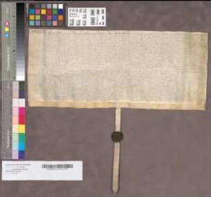 Urkunde, die sich auf die testamentarische Verfügung der virginis Elisabeth Frie (oder Freie) bezieht.